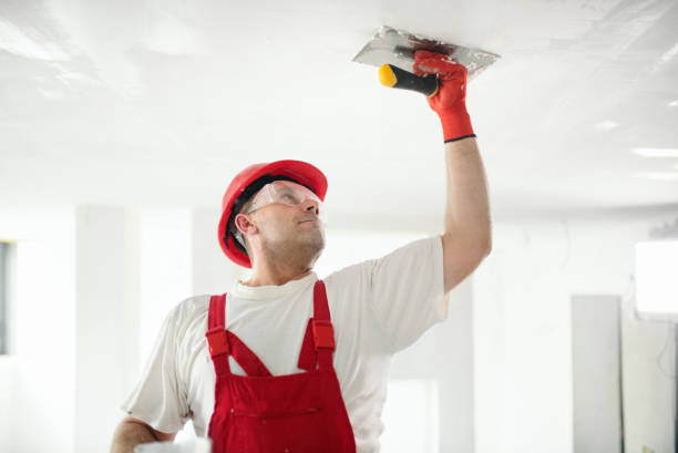 Wallpaper Removal and Painting in Egypt, PA